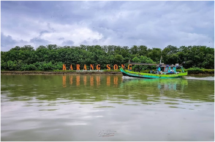 <p>Ket Foto: Pesona Hutan Mangrove Karongsong Indramayu (Foto/Instagram/@mangrove.karongsong)</p>
