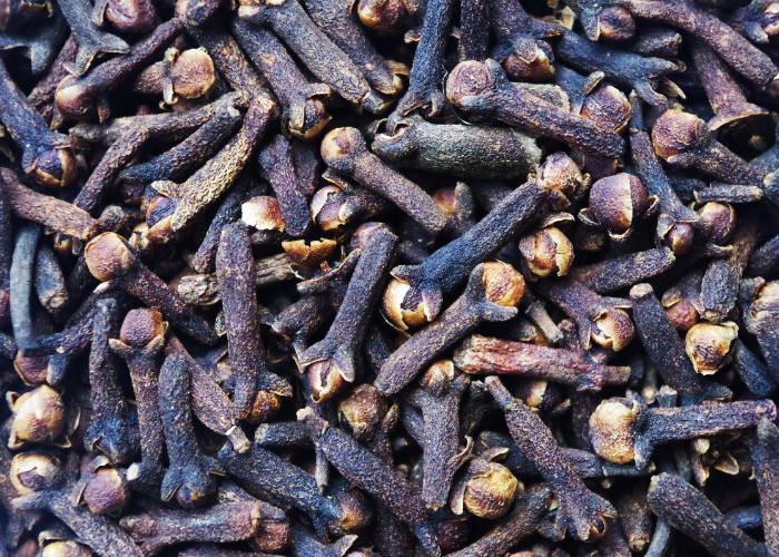 Ket. Foto: Tanaman cengkeh dengan berbagai manfaatnya (Foto/Pixabay @ajale)