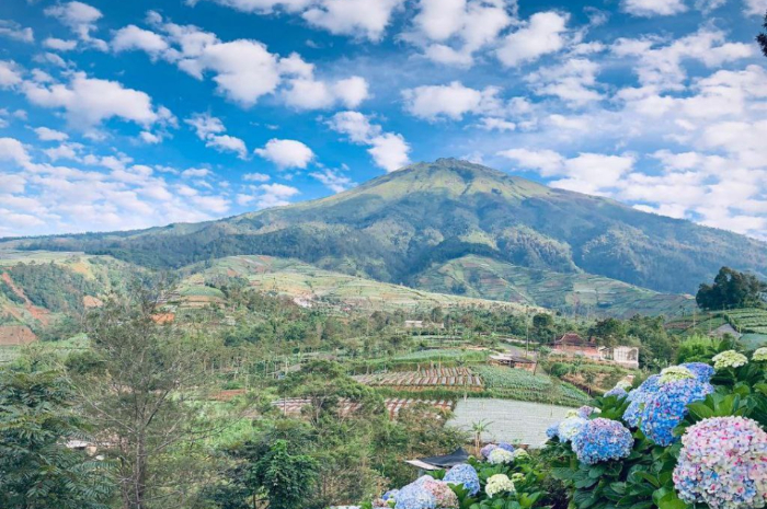 <p>Ket foto: Keindahan yang ditawarkan dari wisata Silancur Highland Magelang (Foto/Instagram/silancurhighland)</p>

