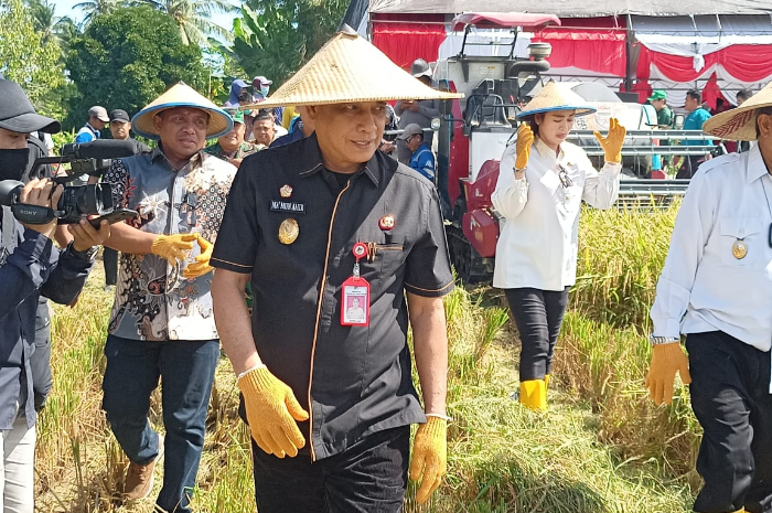 <p>Ket Foto: Wakil Gubernur Sulawesi Tengah saat menghadiri kegiatan Panen Raya di Kab. Parigi Moutong (Foto/Duan)</p>

