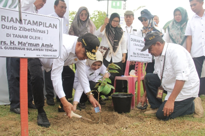 <p>Wakil Gubernur Sulteng Ikut Penanaman 1000 Pohon se-Indonesia (Foto/laman Pemprov. Sulteng)</p>
