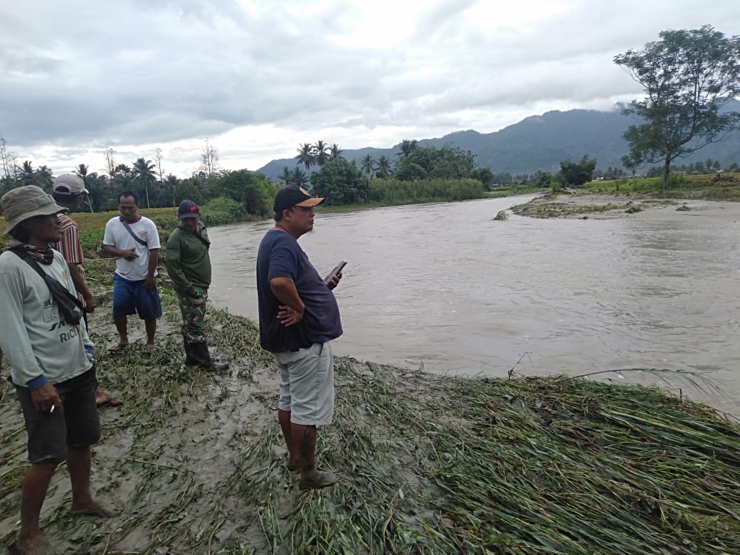 <p>Ket Foto: Banjir Rendam Puluhan Hektar Sawah di Dusun Gigit Sari Beberapa Waktu Lalu. (Foto/Istimewa)</p>
