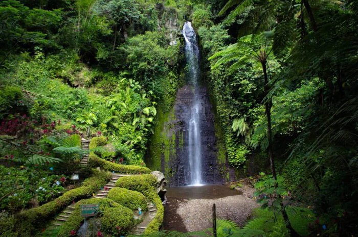<p>Ket foto: Keindahan wisata Air Terjun Watu Lapis yang ada di Lumajang (Foto/Instagram/wiliargo)</p>
