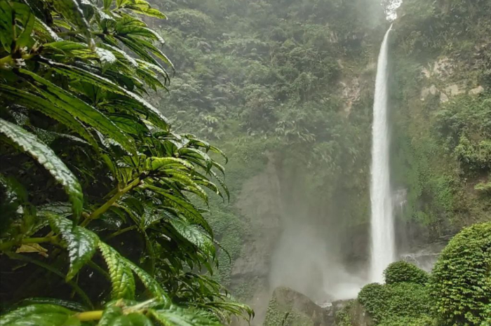 <p>Ket foto: Keindahan wisata Coban Pelangi di Malang Jawa Timur (Foto/Instagram/diyahthediva)</p>
