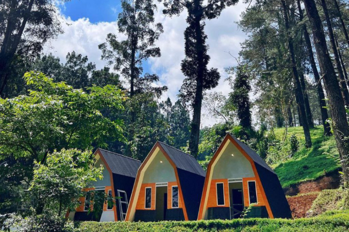 <p>Ket foto: View cantik di wisata Hutan Pinus Limpakuwus Banyumas (Foto/Instagram/hutanpinuslimpakuwuss)</p>
